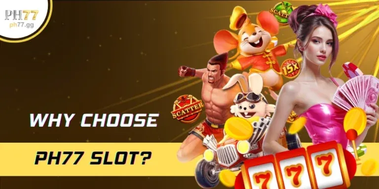 Chương trình VIP 23win